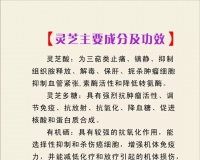 广东芝中皇生物科技有限公司