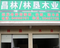 谢子垒副会长—深圳市大唐讯士电子科技有限公司