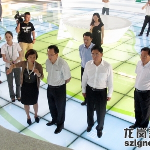 坚持“聚侨为侨” 龙岗年内筹建华侨青年商会