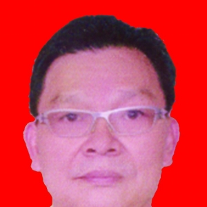 彭成美名誉会长-深圳市翰润德投资有限公司