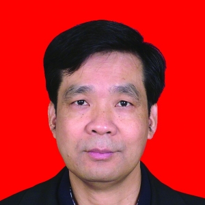 彭伟夫副会长 深圳市新众力投资发展有限公司  董事