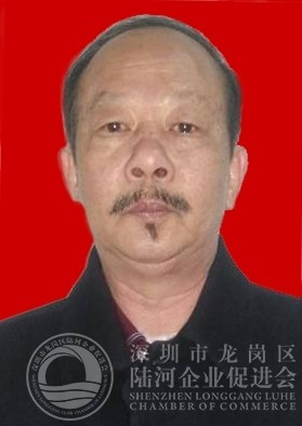 陈思侃顾问 原龙岗区龙岗街道查违办主任 