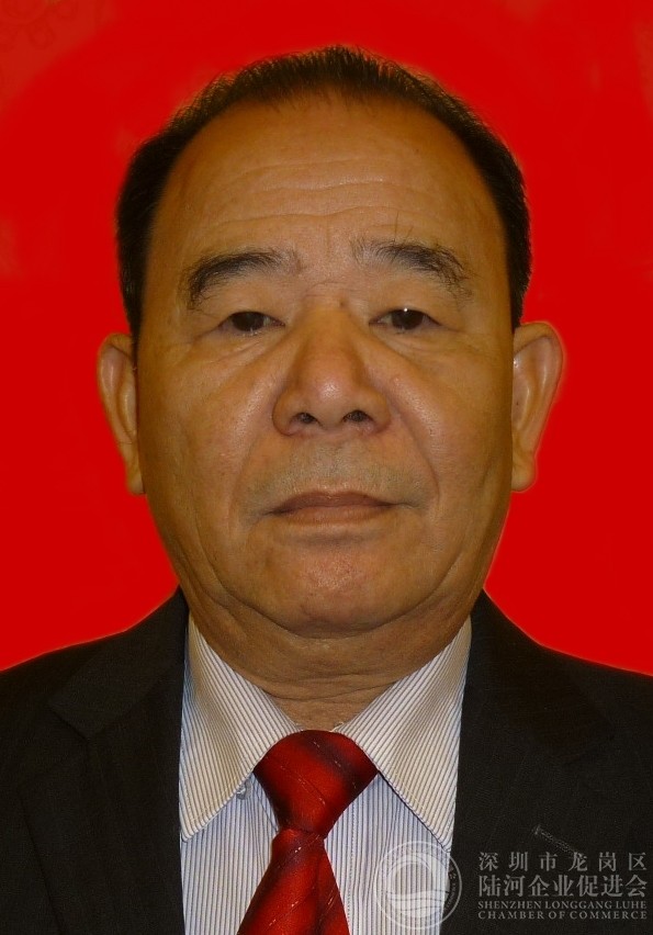 孔国略顾问 原陆河县计生委主任