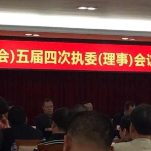 深圳市龙岗区陆河企业促进会领导参加 深圳市龙岗区工商联（总商会）五届四次执委（理  ...