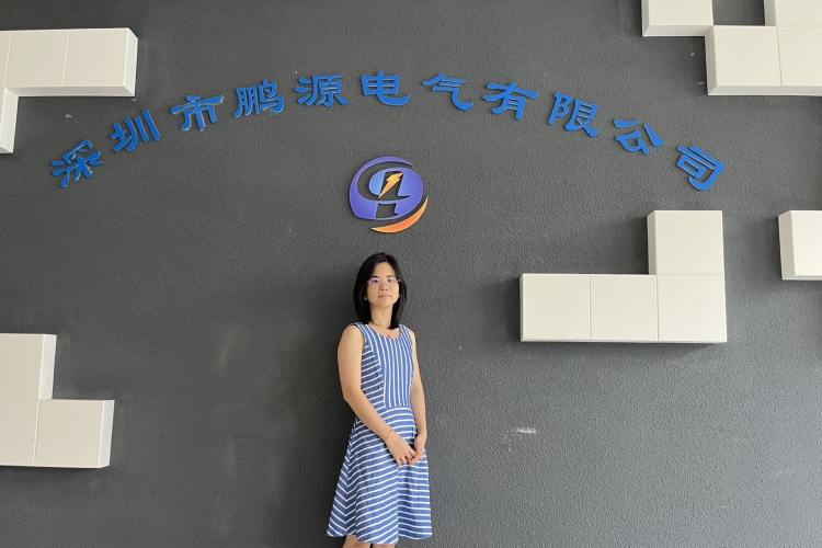 深圳市鹏源电气有限公司——叶桂丽